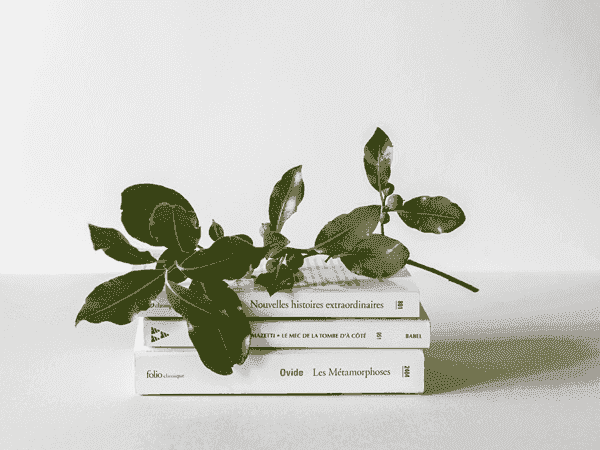 小黑ddos压力测试平台